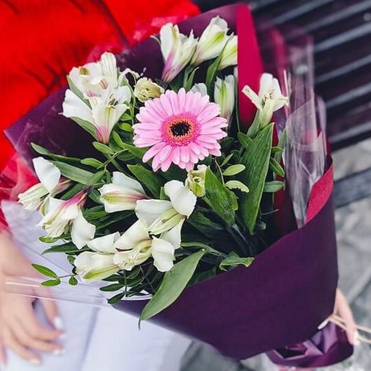 Ночная музыка от 2 810 руб.