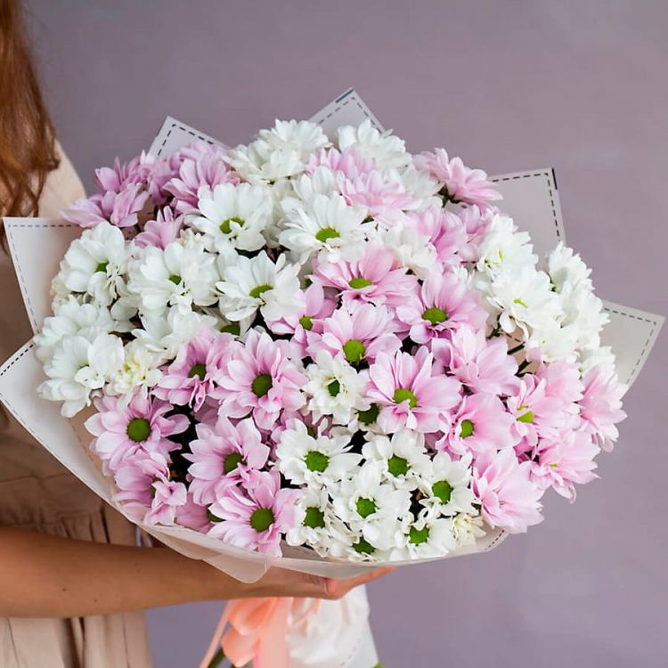 В облаках от 4 690 руб.