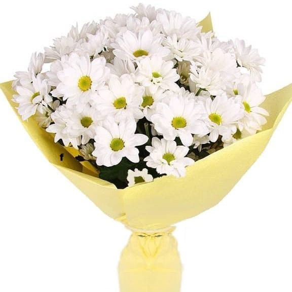 Помни наше лето от 2 740 руб.