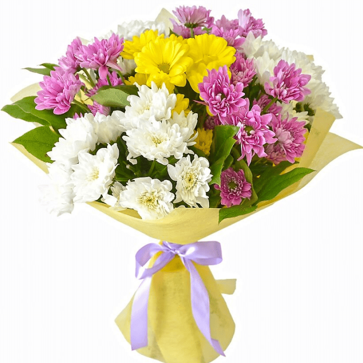 Апрельское солнце от 2 590 руб.