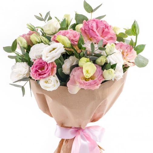 За облаками от 3 240 руб.