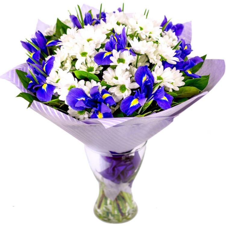 Звёздная галактика от 4 810 руб.