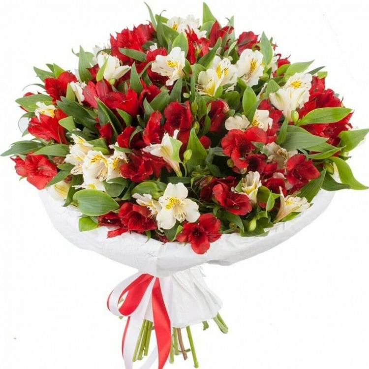 Весёлый азарт от 4 970 руб.