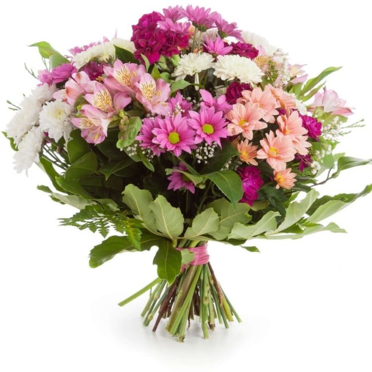 Струны души от 3 240 руб.