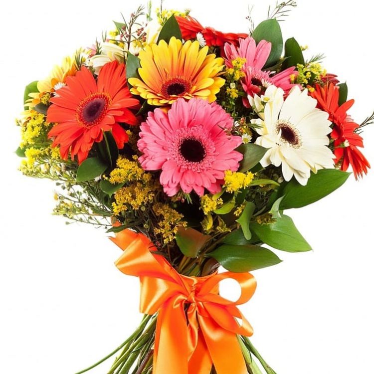 Солнечный рай от 3 500 руб.