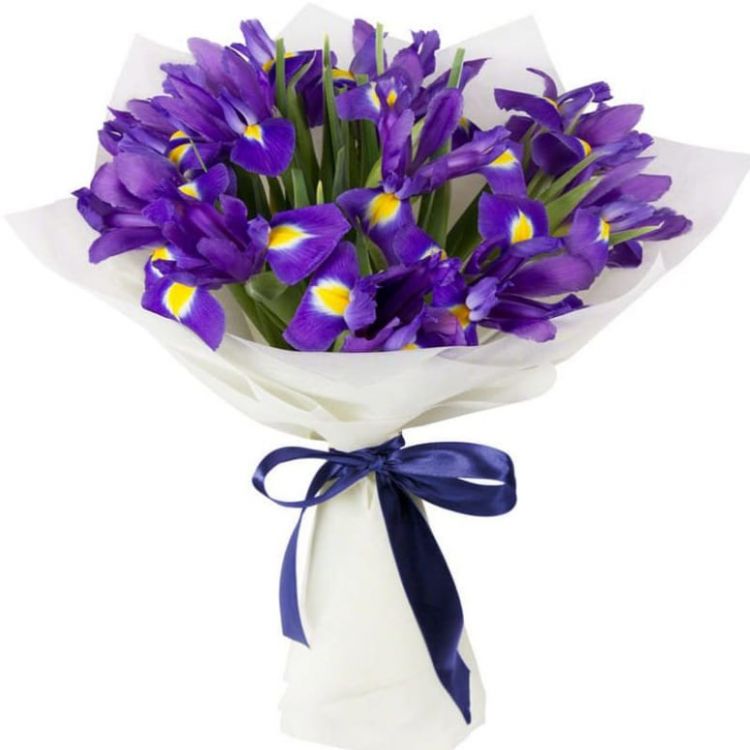 Шелест волн от 2 240 руб.