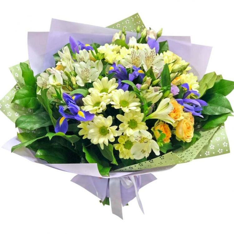 Ветер с моря от 3 130 руб.