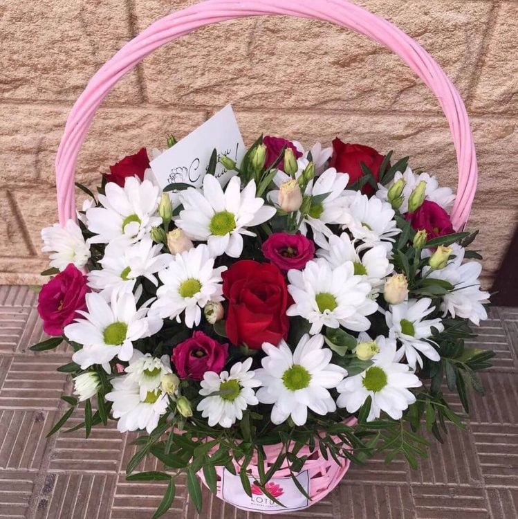 Фортуна от 5 580 руб.