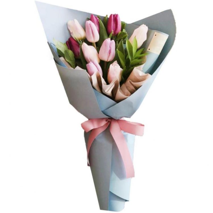 Аэлита от 2 660 руб.