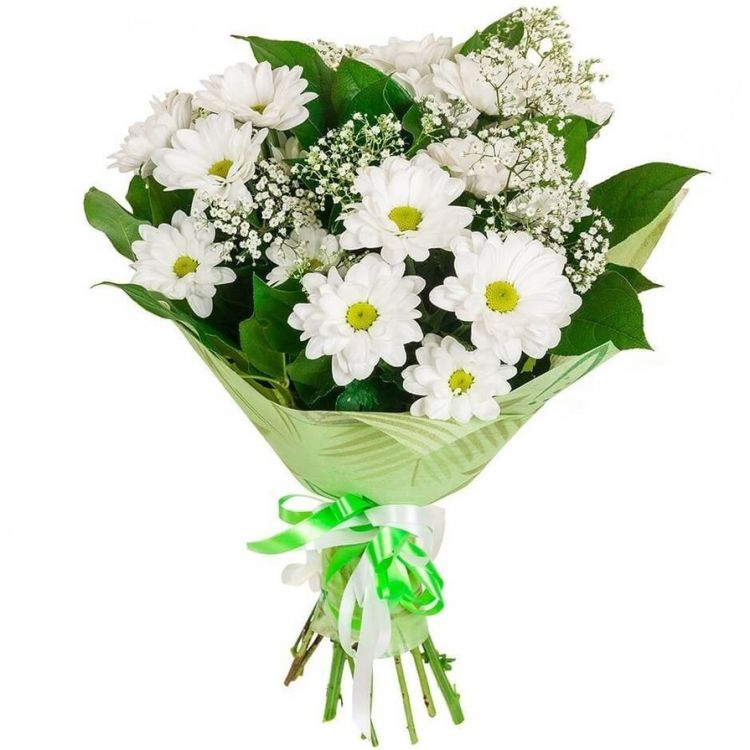 Заливные луга от 3 240 руб.