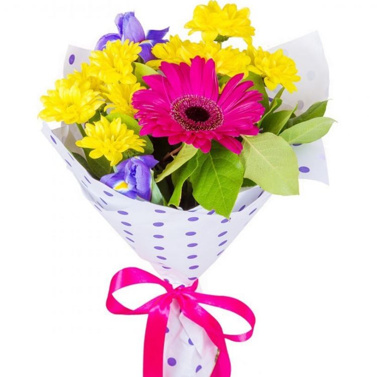 Без забот от 2 740 руб.