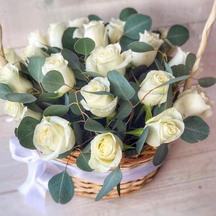 Неземная красота от 5 270 руб.