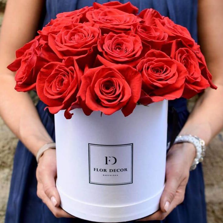 Скажи мне ДА от 6 290 руб.