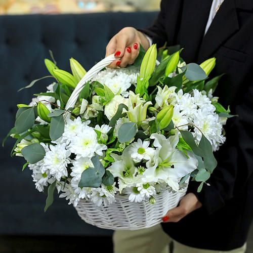 Высоко от 6 720 руб.